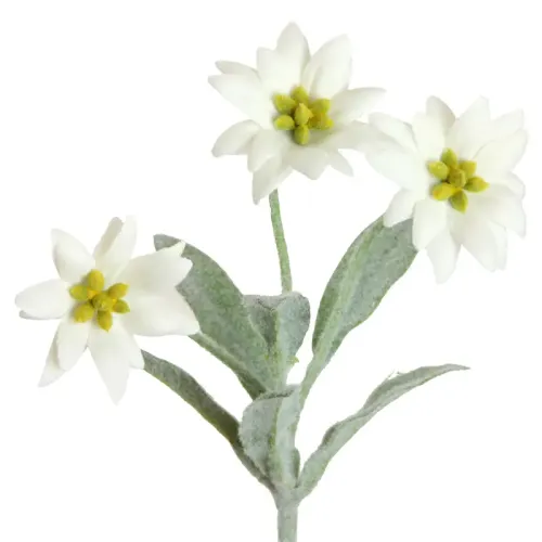 Artificial Edelweiss Flower Stem with 3 CREAM colored Flowers