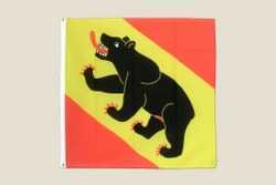 Swiss Canton Outdoor Flags-Bern